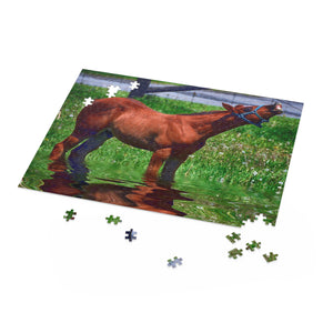 Baby Horse Puzzle (120, 252, 500-Piece)